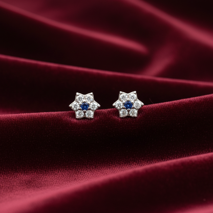 92.5 silver earrings 