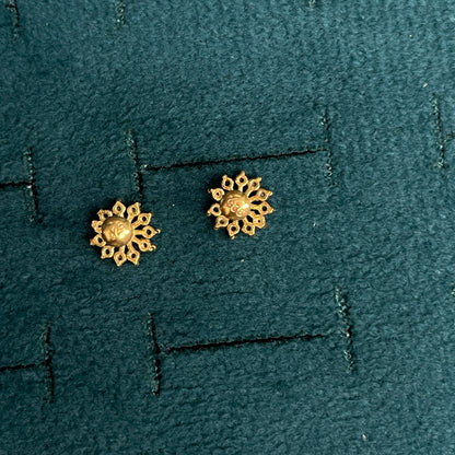 925 Silver Gold Plated multicolor studs pair