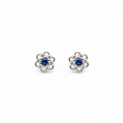 925 Silver Blue Stone Studs