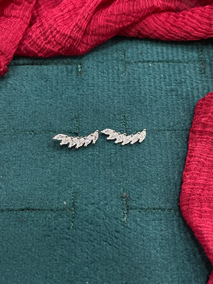 Ear
